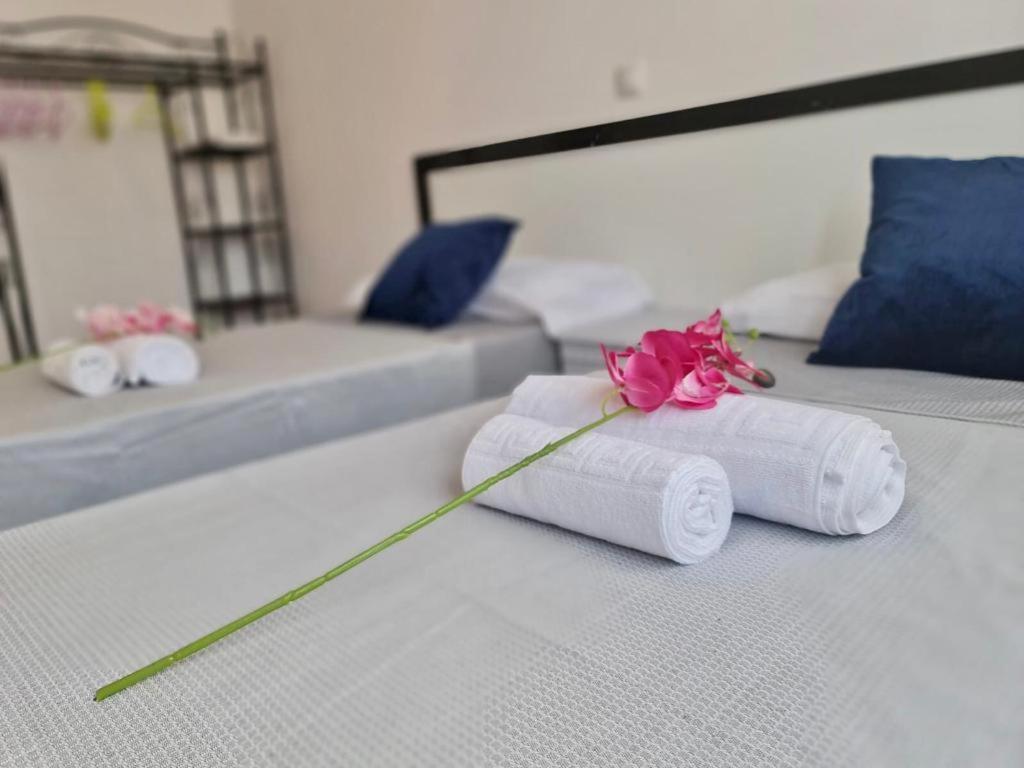 Franmay Apartments - 7 Modern Apartments Near The Beach & City, Perfect For Nomads, Travellers, Families, Watersports! Santa Maria Kültér fotó